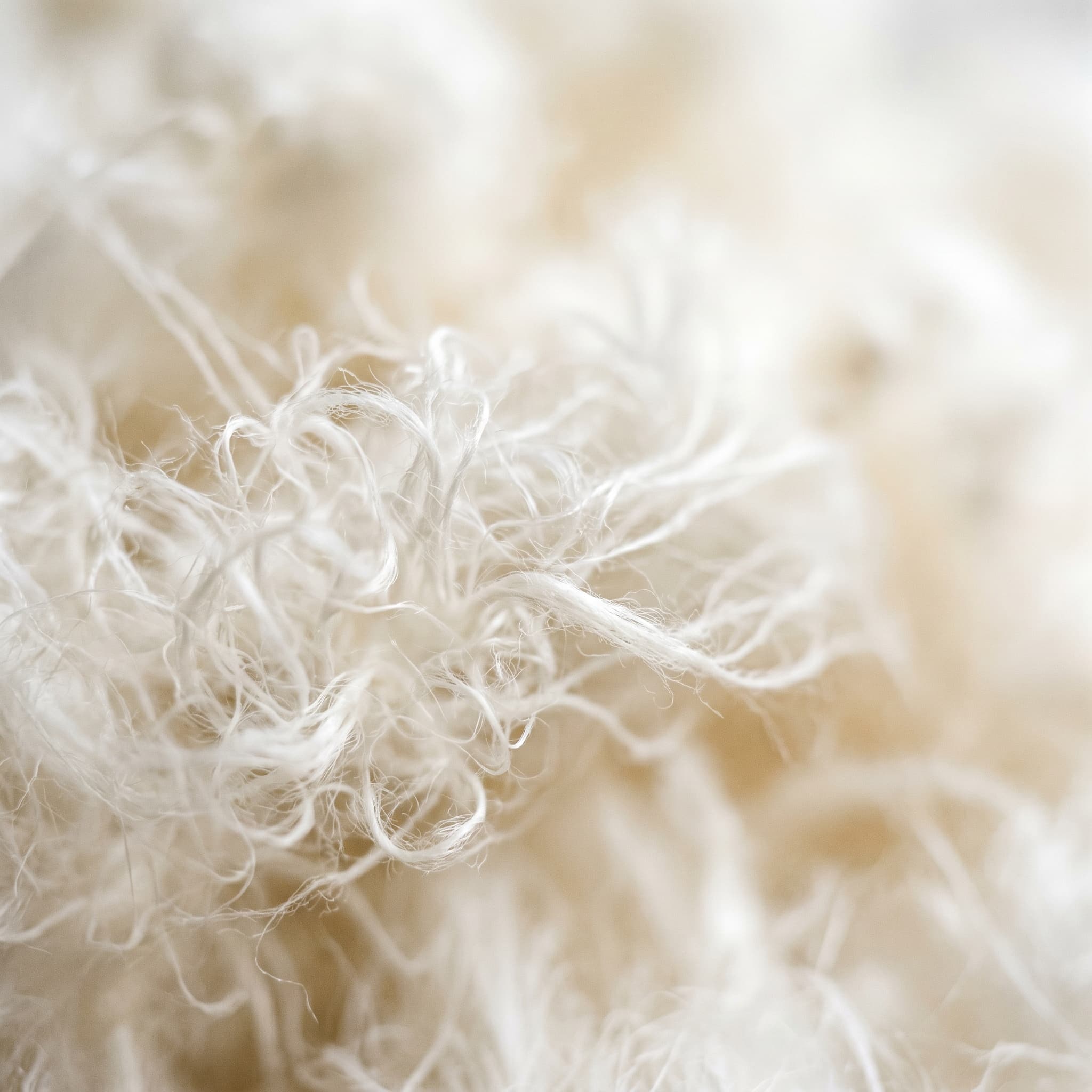Pure cotton.